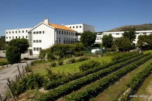 escola