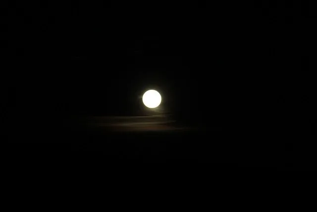 31086627825_db636f3900_z-2