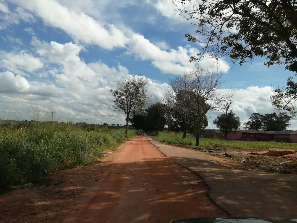 estrada um caminho de terra batida com vegetação a volta da estrada.